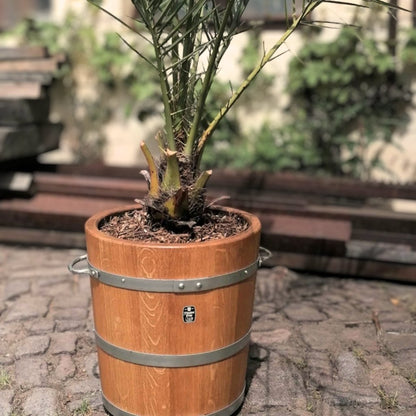 Blumenkübel aus Eichenholz der Böttcherei Götze