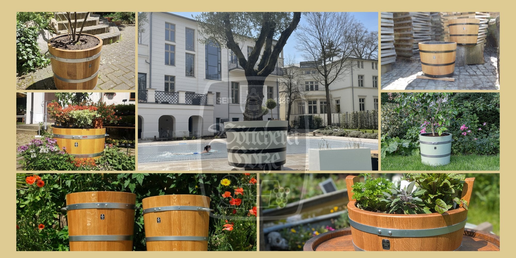 Pflanzkübel und Blumenkübel der Böttcherei Götze aus Dresden als Collage
