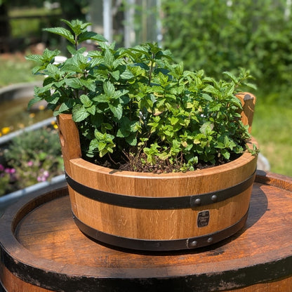 Eine flache Pflanzschale mit schwarzen Reifen aus Eiche - bepflanzt mit Küchenkräutern