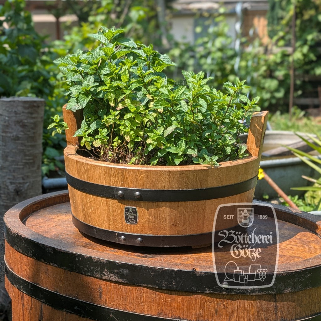 Mehrere Minzsorten gedeihen in dieser Pflanzschale aus Eiche