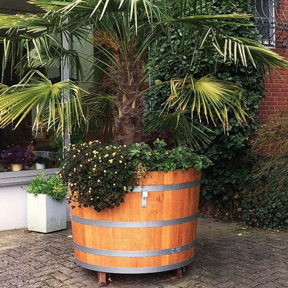 xxl Pflanzbottich mit Palme schmückt eine Außenanlage