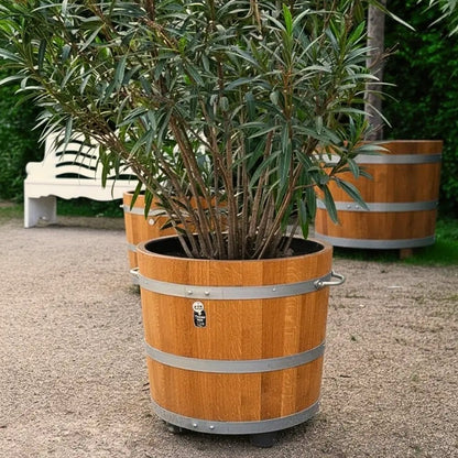 Ein großer Pflanzkübel ziert den Schlosspark Pillnitz