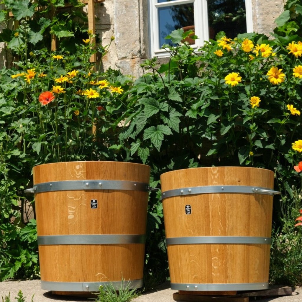 handwerklich gefertigte Holzpflanzkübel präsentiert vor Sonnenhut und Bruchsteinmauer