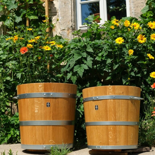 handwerklich gefertigte Holzpflanzkübel präsentiert vor Sonnenhut und Bruchsteinmauer