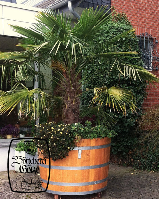 Pflanzbottiche XXL Ø65cm - Ø100cm