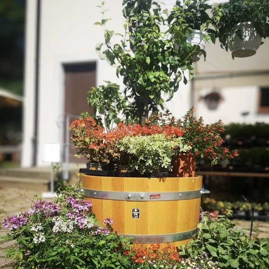 Eichenkübel mit Zierobst wertet das Hofensemble optisch auf